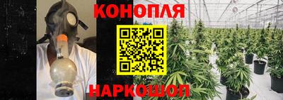индика Коломна