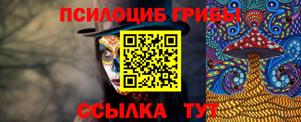 дарнет шоп  Псилоцибиновые грибы мухоморы  Галлюциногенные грибы MAGIC MUSHROOMS  Вход с VPN  Карпинск 