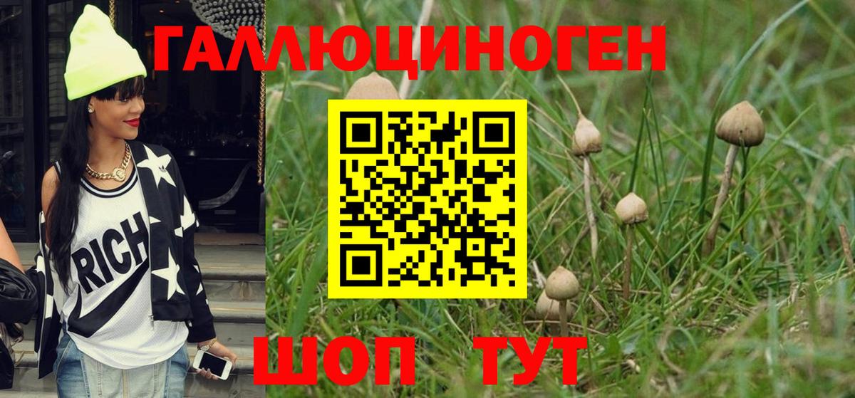 Псилоцибиновые грибы Magic Shrooms Карпинск